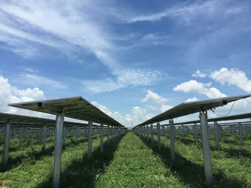 80体育app官网下载